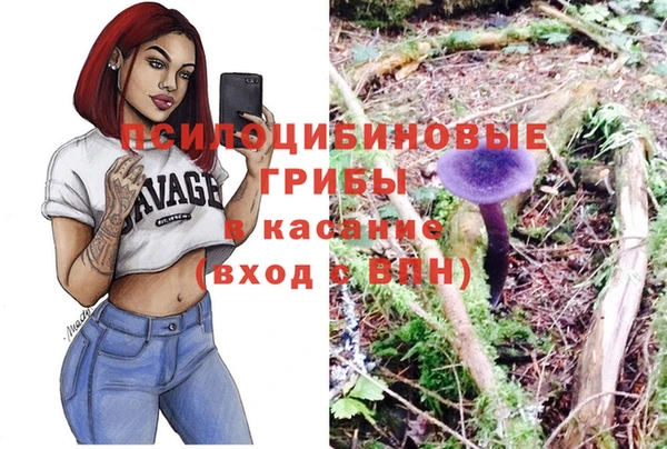 мескалин Богданович