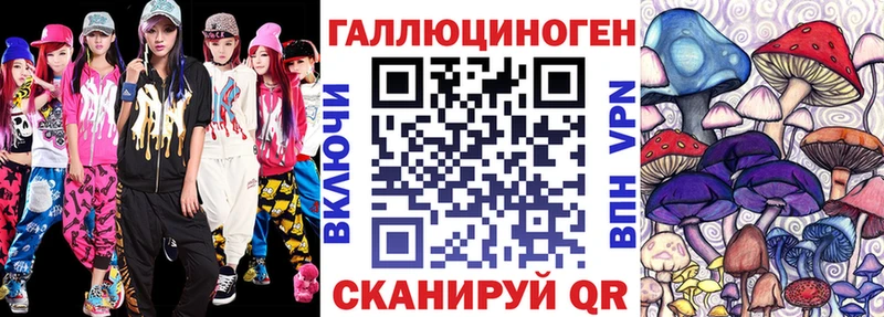 Псилоцибиновые грибы Psilocybe  blacksprut маркетплейс  Короча  закладки 
